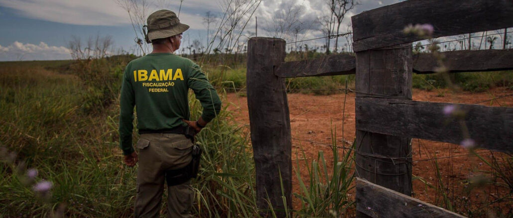 DF: Ibama resgata 32 serpentes e aplica mais de R$ 300 mil em multas