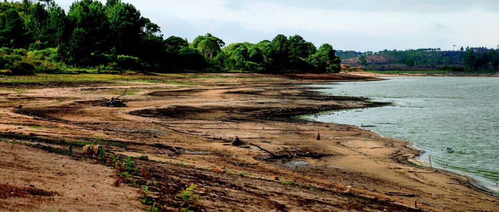 Crise climática: seca severa na Amazônia é agravada por desmatamento e fogo