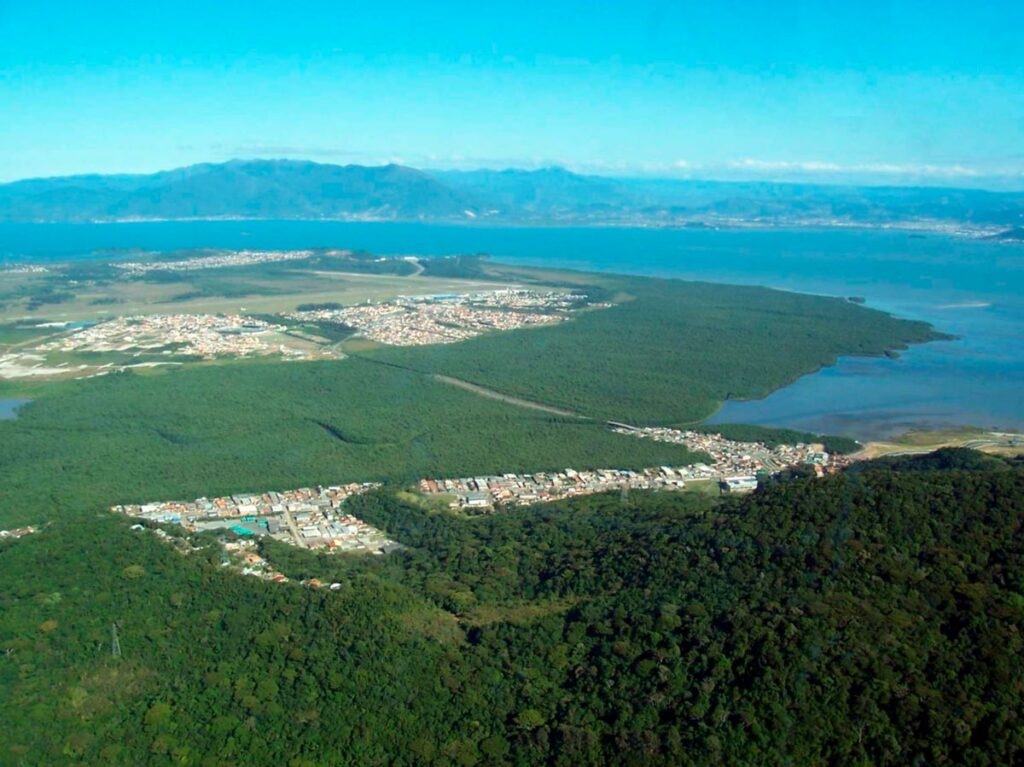 Legado Chico Mendes, o líder seringueiro que deu vida pela luta contra a  devastação ambiental – Observatório de Justiça e Conservação